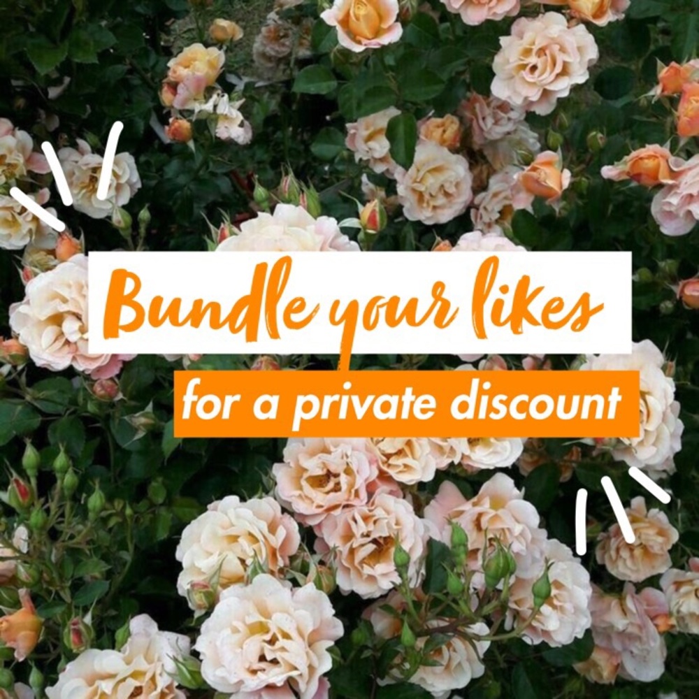 bundle & save 💌✨